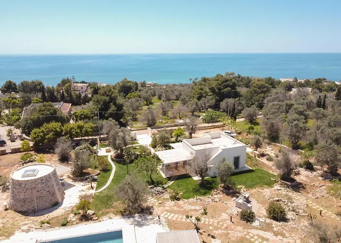 Platino * Торре-Вадо